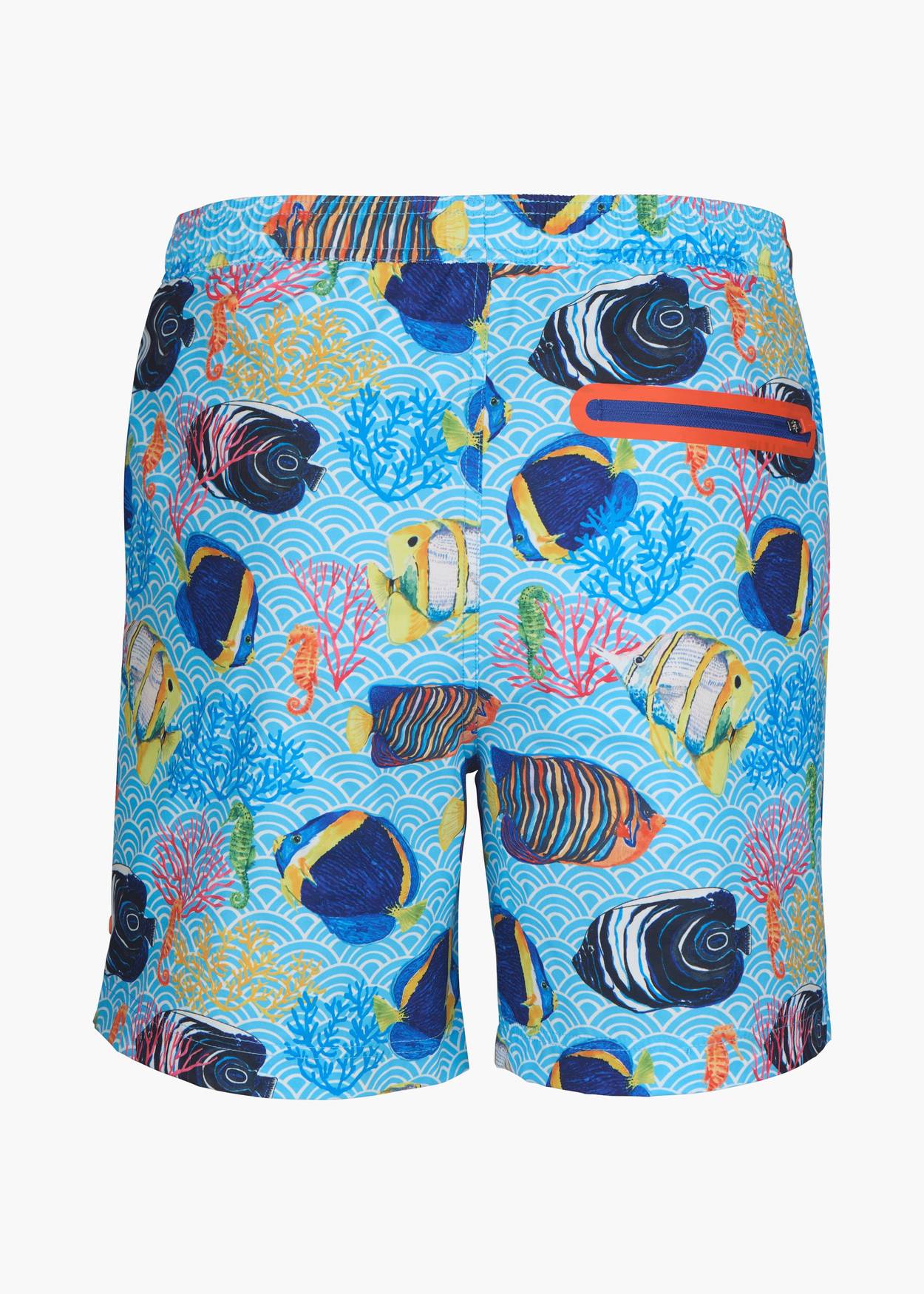Paros Swim Shorts