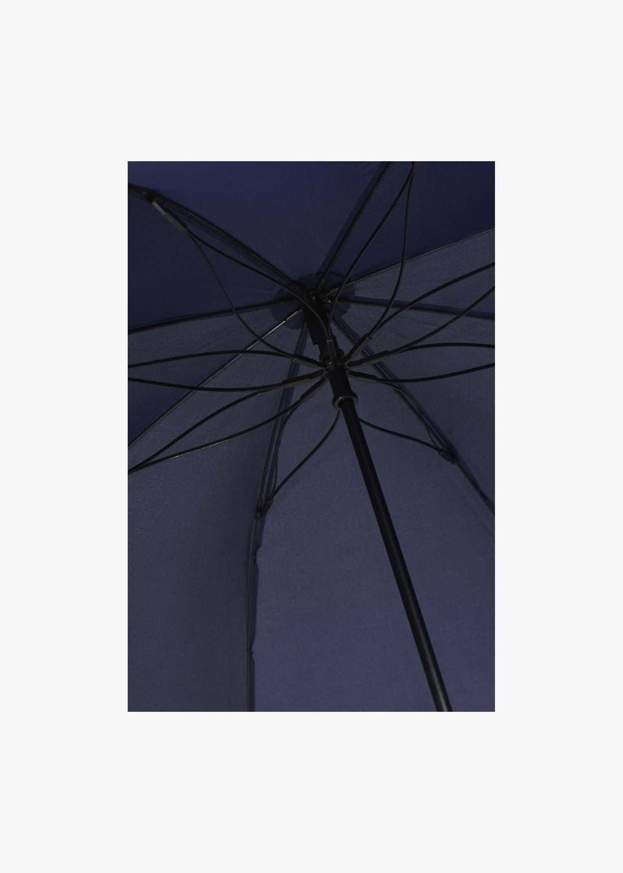 Long Umbrella