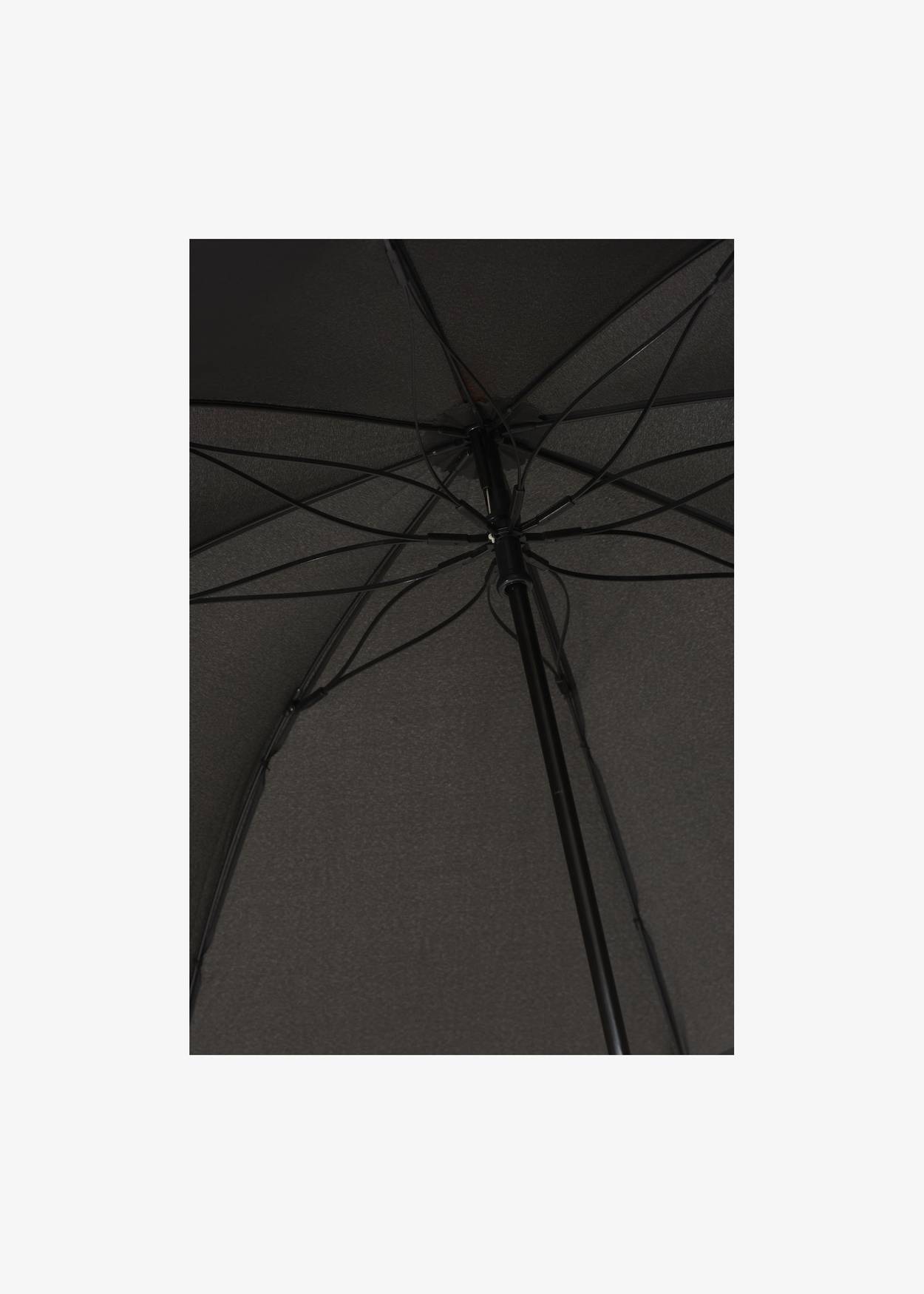 Long Umbrella