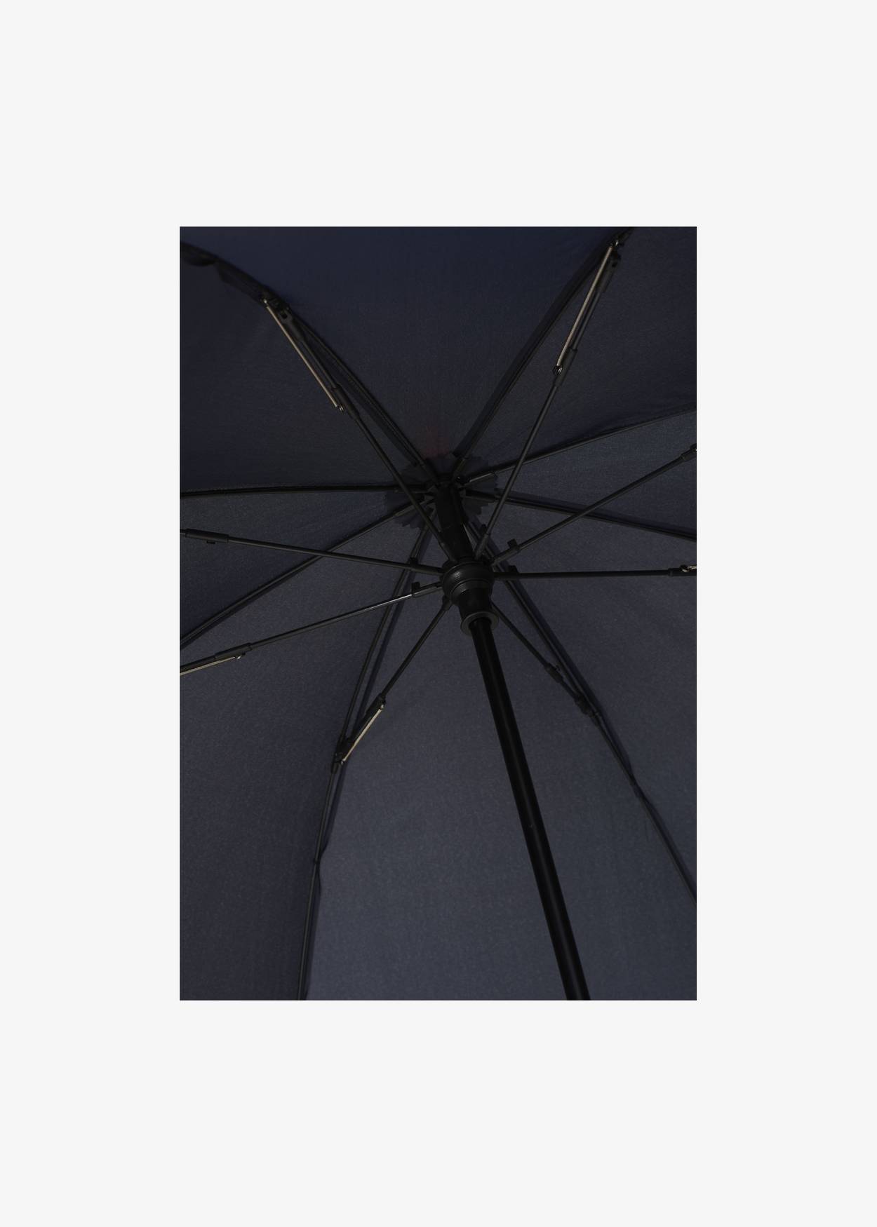 Long Umbrella II